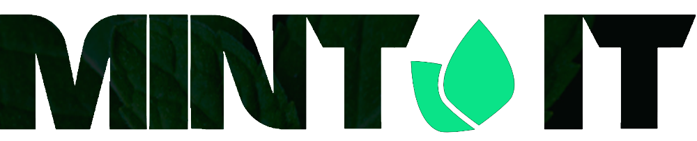 init logo